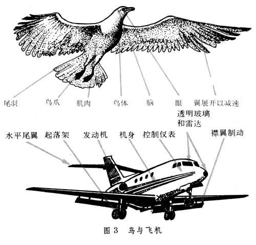 太阳成集团tyc7111cc